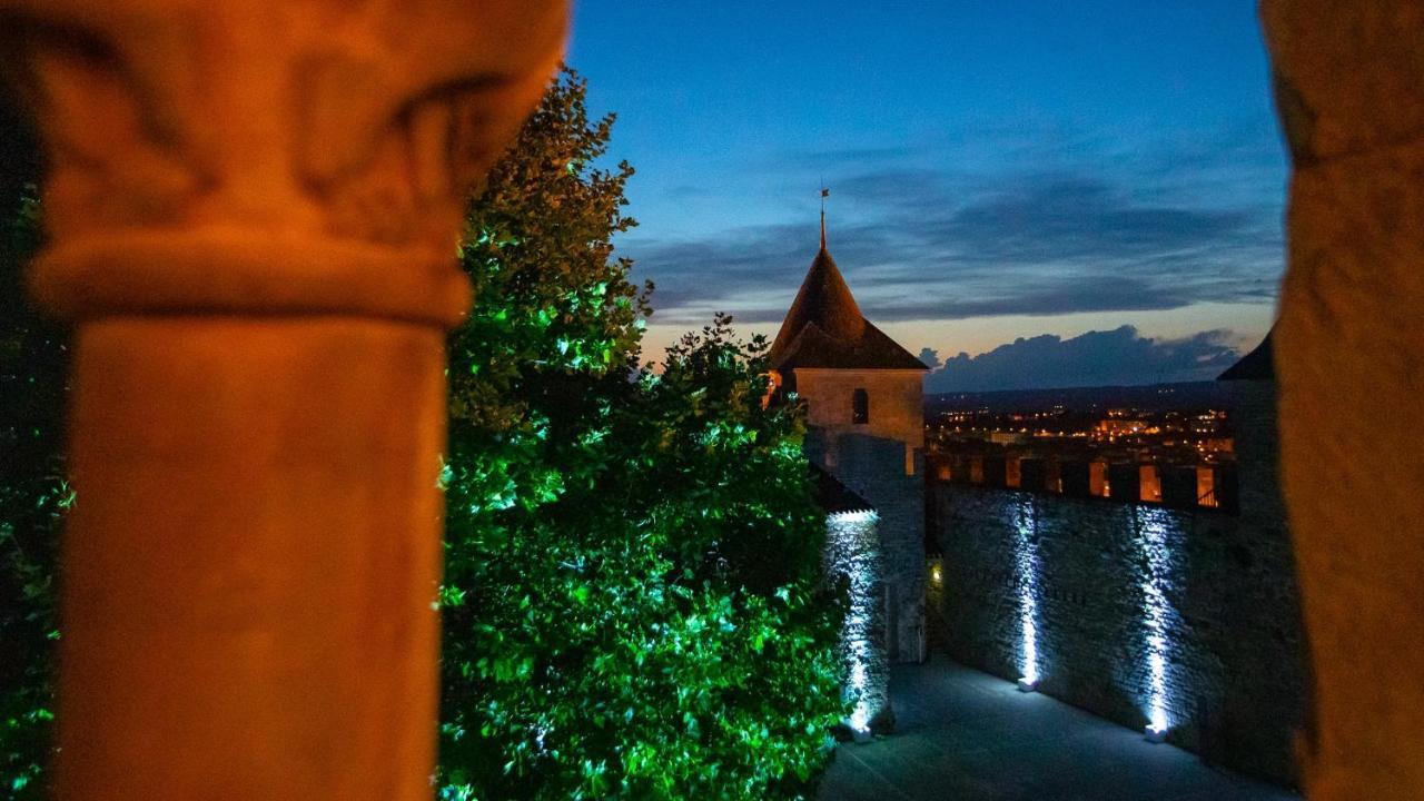 Tout Confort ! Climatisation, Calme, Piscine, Parking Gratuit, Terrasse, Wifi Каркассонн Екстер'єр фото